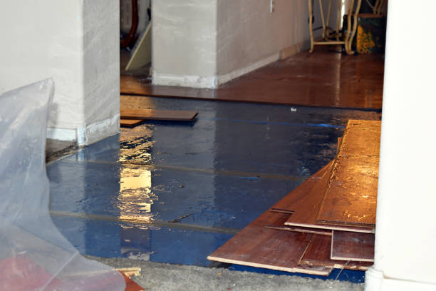 Professional Water Damage Restoration technician working in Double Springs, AL